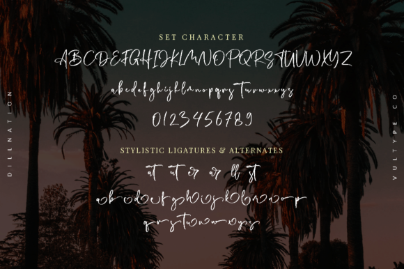 Dillnation Font Poster 8