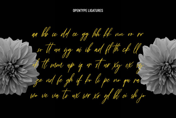 Distractiles Font Poster 9