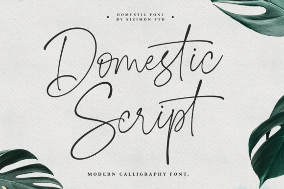 Domestic Font Poster 1