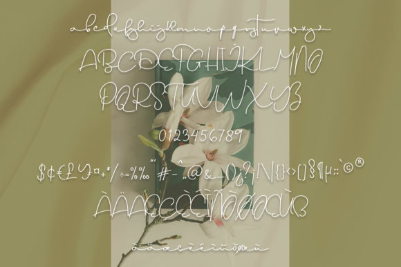 Dream Only Font Poster 5