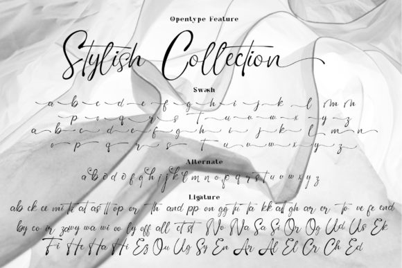 Elegance Signature Font Poster 6