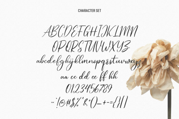 Elfashion Beauty Script Font Poster 8