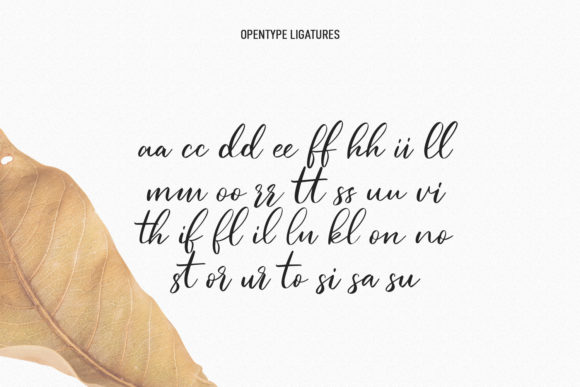 Elfashion Beauty Script Font Poster 9