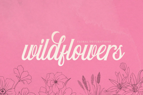 Elliestone Script Font Poster 5