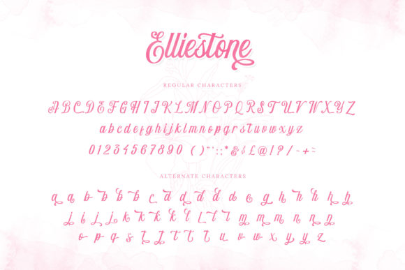 Elliestone Script Font Poster 6