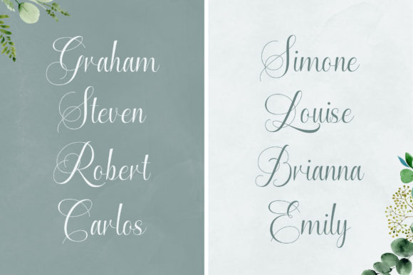 Enchanting Script Font Poster 6