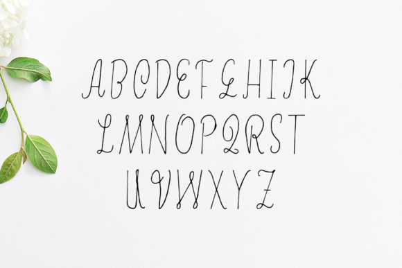 Erica Font Poster 2