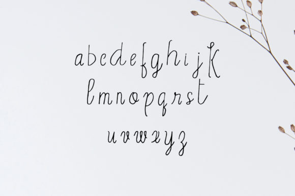 Erica Font Poster 3