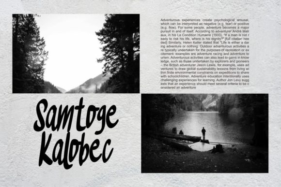 Evinsone Font Poster 5