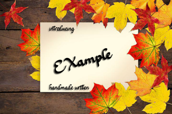 EXample Font Poster 1