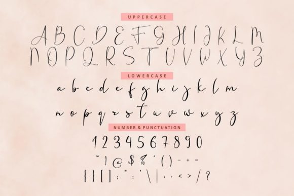 Fanish Signature Font Poster 11