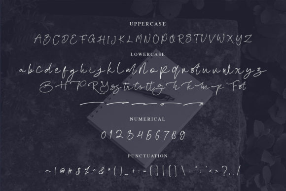 Fanita Pricia Font Poster 8