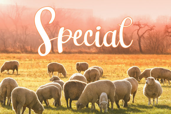 Farmhouse Font Poster 2