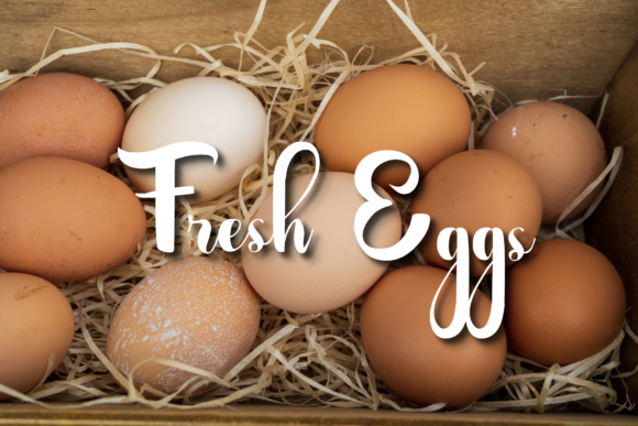 Farmhouse Font Poster 4