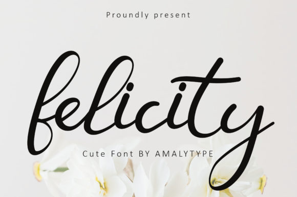 Felicity Font Poster 1