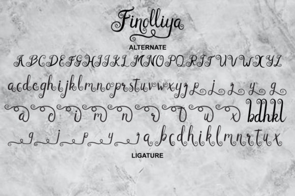 Finolliya Font Poster 9