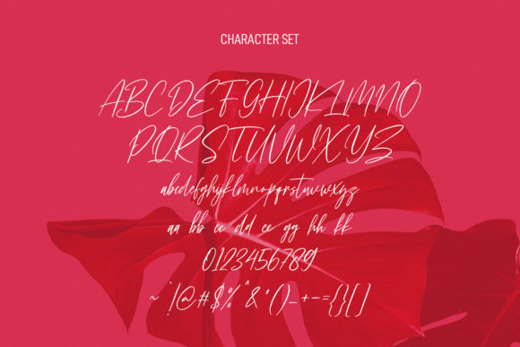 Florentroses Signature Font Poster 5