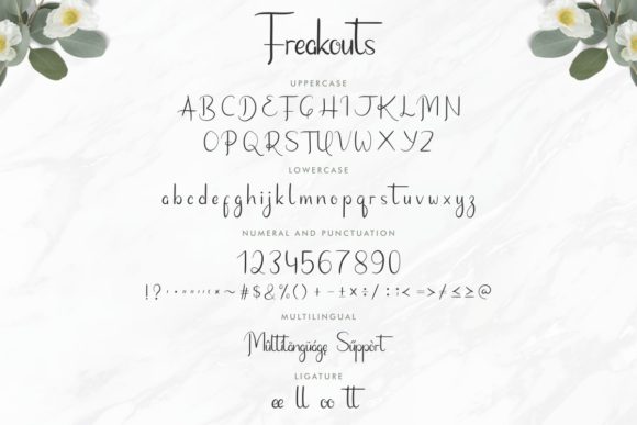 Freakouts Font Poster 4