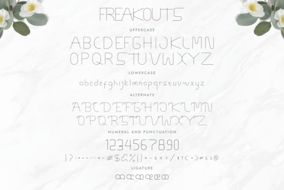 Freakouts Font Poster 6