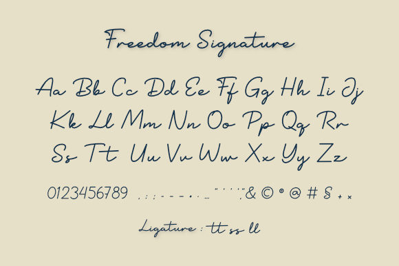Freedom Signature Font Poster 2