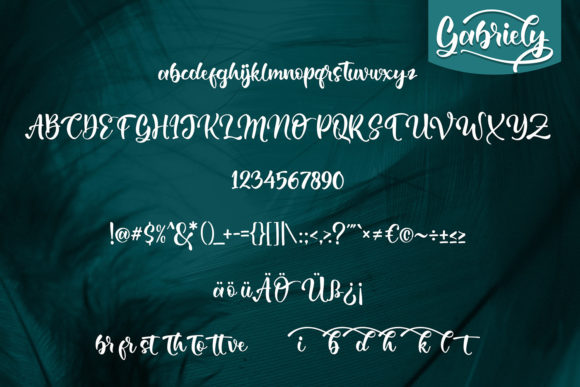 Gabrelly Font Poster 5