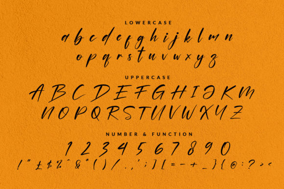 Ganboster Font Poster 8