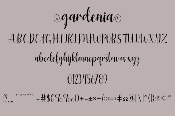 Gardenia Font Poster 5