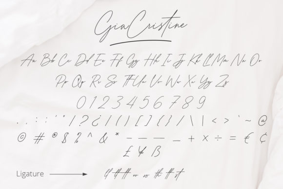 Gia Cristine Font Poster 8