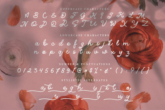 Gianira Font Poster 7