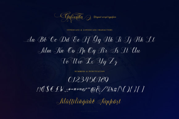 Gofienda Font Poster 11