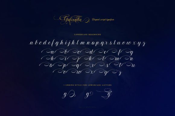 Gofienda Font Poster 12