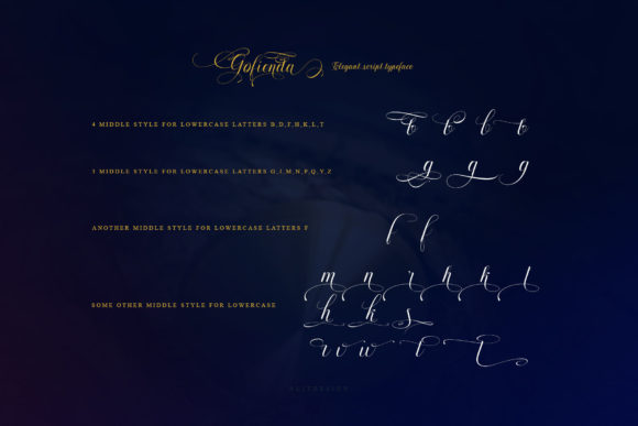 Gofienda Font Poster 13