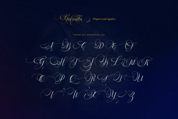 Gofienda Font Poster 14