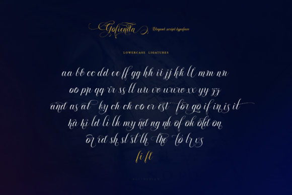 Gofienda Font Poster 16
