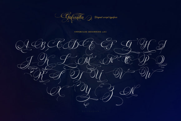 Gofienda Font Poster 4