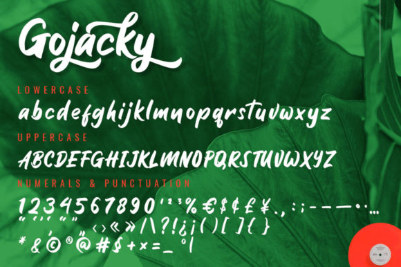 Gojacky Font Poster 8