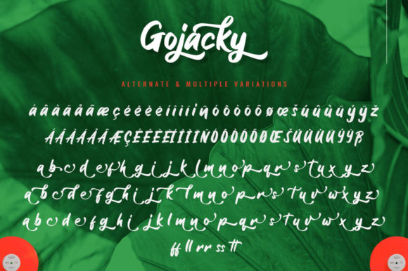 Gojacky Font Poster 9
