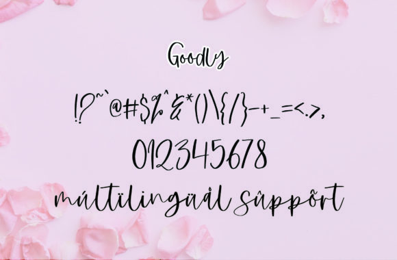 Goodly Font Poster 6