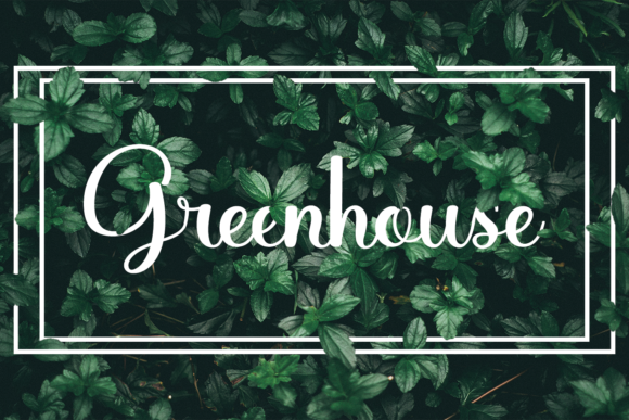 Greenhouse Font Poster 1