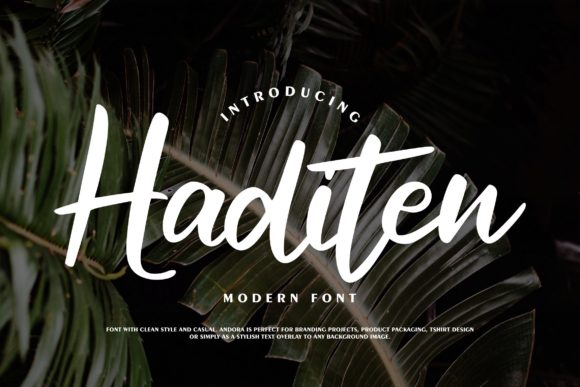 Haditen Script Font Poster 1