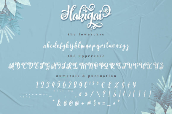 Hakigai Font Poster 7