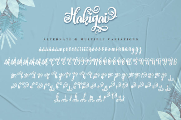 Hakigai Font Poster 8
