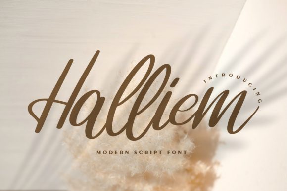 Halliem Font Poster 1