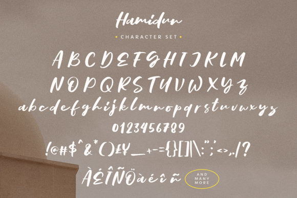 Hamidun Font Poster 6