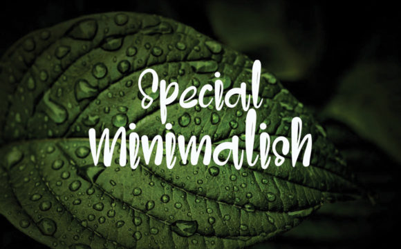 Handwriting Vintage Font Poster 2