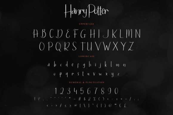 Hanry Potter Font Poster 4