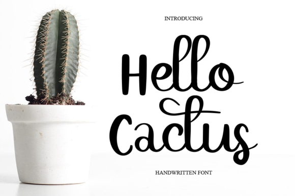 Hello Cactus Font Poster 1