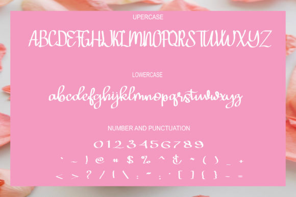Hello Shofia Font Poster 2