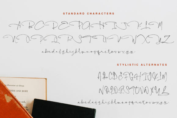 Hello Stylish Font Poster 10