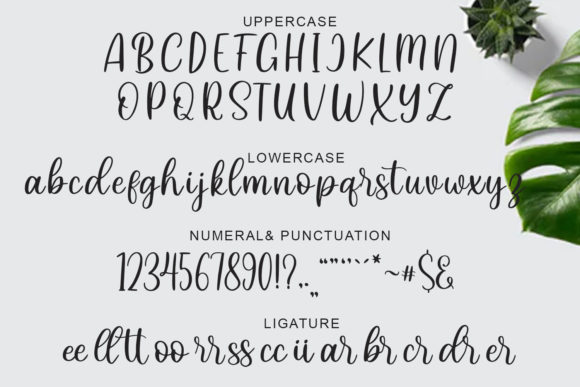 Hey Lovely Font Poster 9